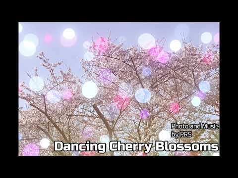 【音楽】Dancing Cherry Blossoms【写真】