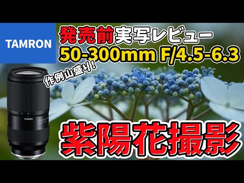 紫陽花撮影 TAMRON 50-300mm F/4.5-6.3 Di III VC VXD(SONY Eマウント)を実写しながら商品レビューしてみた