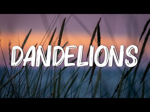 Dandelions - Ruth B. (Lyrics) || Shawn Mendes, Calvin Harris, Dua Lipa... (MixLyrics)