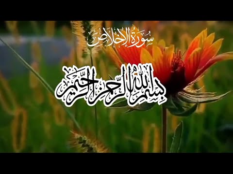 surah Al Ikhlas (The Sinserity) tarjuma ke sath | Quranic Light Tv urdu translation |#quran#tilawat