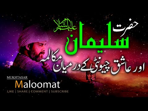 HAZRAT SULEMAN (A.S) | YUNUS EMRE - RAH-E-ISHQ | TAPDUK EMRE | (URDU DUBBING) | Mukhtasar Maloomat