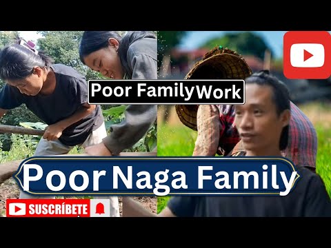 Work Masterleave Field Naga Family