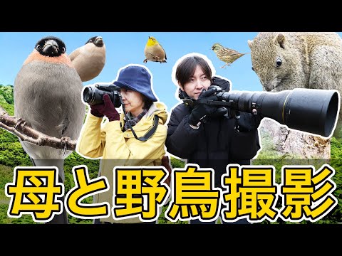 【COOLPIX P950】母と野鳥撮影 2024【Z9 Z800mmf6.3S】