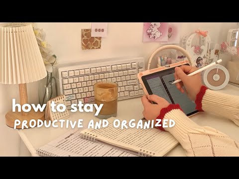 Tips on how to stay productive and organized 📓🖇