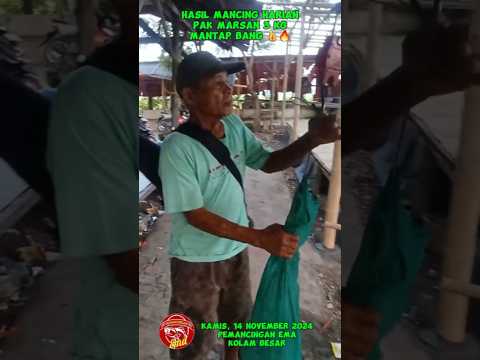 HASIL MANCING HARIAN PAK MARSAN 3 KG DI PEMANCINGAN EMA | GACOR