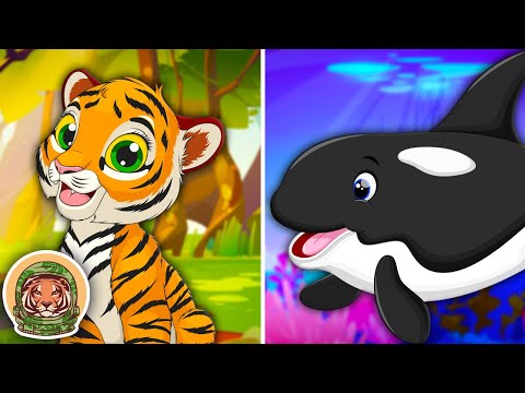 Learn About Animals With The BEST Personalities! | Animal Songs For Kids | KLT WILD