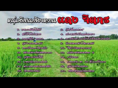 20 เพลง หนุ่มอีสานเสียงหวาน แดง จิตกร