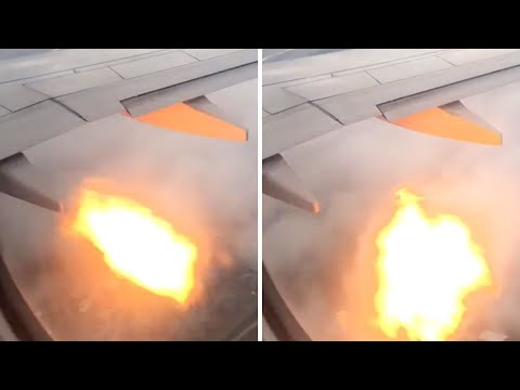 Flames shoot from plane after bird strike