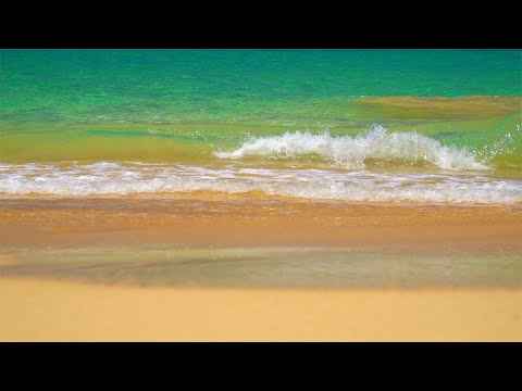 8 Hours Beach Waves Shore Break & Relaxing Ocean Waves Sound - RELAX, SLEEP, ASMR | Great Escapes