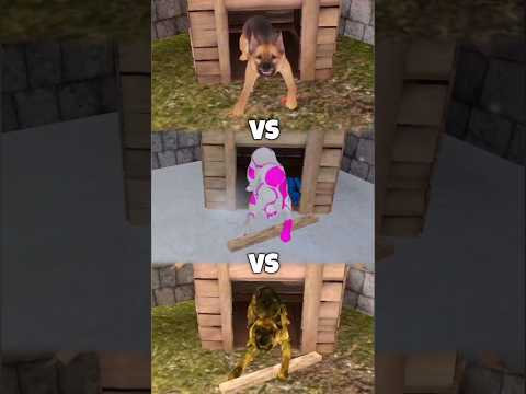 Original Dog VS Barbie Dog VS Military Dog #shorts #dracolite #mod #schoolboyrunaway