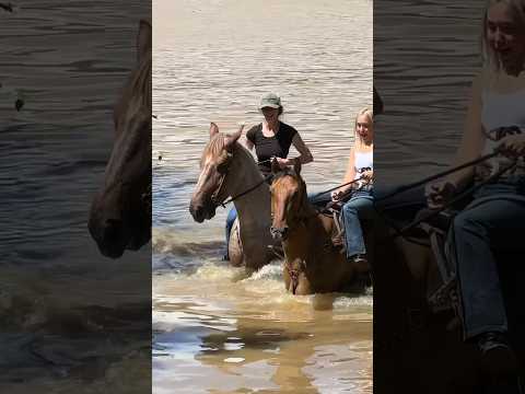 Does your horse love water? Roanoke does! #horses #swimming #horse #cowboy