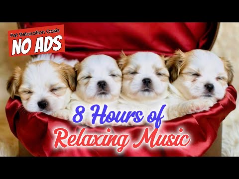 Peaceful 8 HOURS of Calming Music for Dogs | Pet Relaxation Oasis