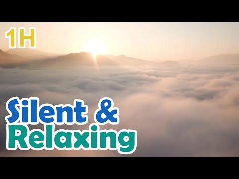 long Relaxing Screensaver of Flying above Clouds Misty Mountains video loop no sound no music