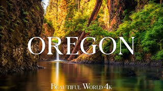 Oregon 4K - Majestic Fall Colors, Scenic Forest Trails, and Cascading Waterfalls - 4K VIDEO