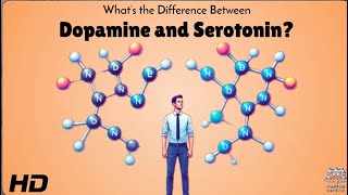 Dopamine vs Serotonin: Which Makes You Happier?