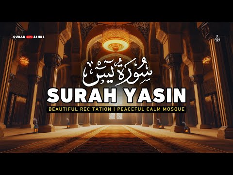 Surah Yaseen (سورة يس) | Peaceful Quran recitation for your heart