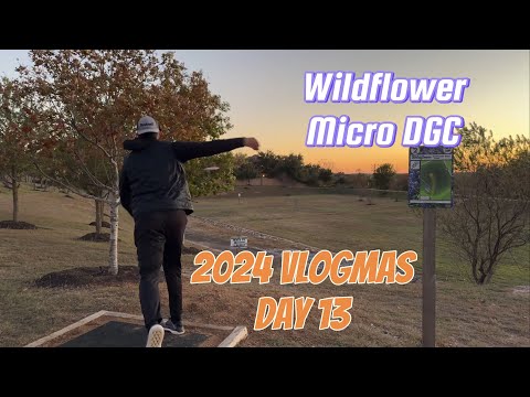 2024 Vlogmas Day 13 | Wildflower Micro DGC