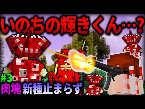 【マイクラ】怪物と化した大阪万博のキャラがヤバすぎる…。「肉塊戦線異常あり」#３【ゆっくり実況マルチ】【Minecraft】【マイクラ軍事】The flesh that hates