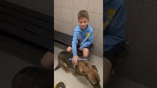 Dad Takes His Son To The Shelter Insisting They Can't Get A Dog | The Dodo