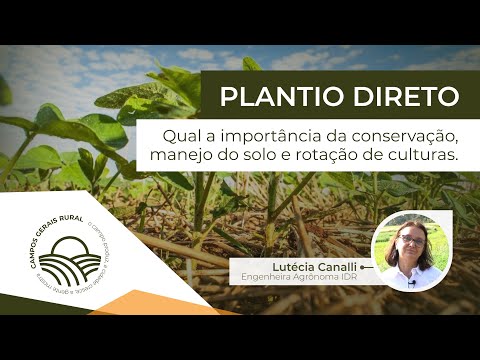 Confira como conservar o solo corretamente! Entrevista com a Eng. Agrônoma Lutécia Canalli