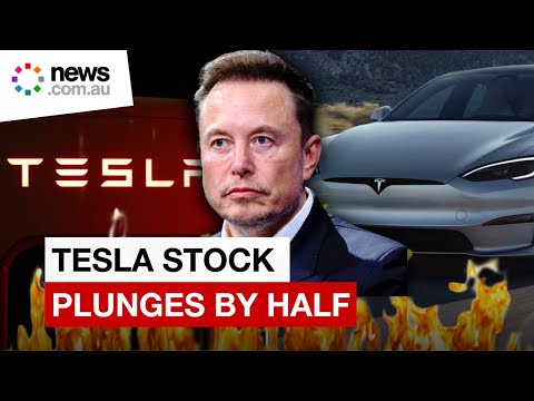 Tesla’s stock plunges by half - is Elon Musk’s EV party over?