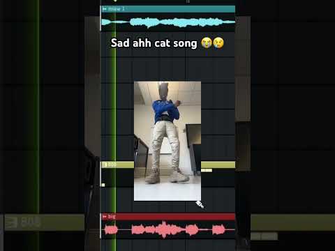 Sad ahh cat song 😭😞 #flstudio #nola #miaw #cat