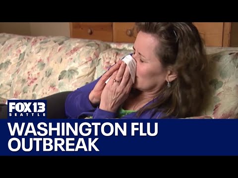 Washington sees more than 250 flu-related deaths