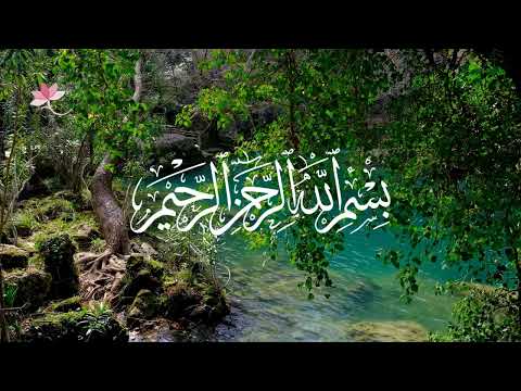 معنى الحمد من كتاب الله حصرا  | فَلِلَّه الْحَمْد رب السَّمَاوَات وَرَب الْأَرْض رَبِّ الْعَالَمِينَ