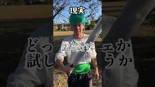 ゾロの理想と現実【ローグタウン】