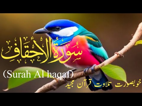 surah al ahqaf / Full With ArabicText (HD)/Surah Al-Ahqaaf Full