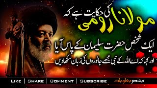 MOLANA RUMI | HAZRAT SULEMAN KA WAQIYA | YUNUS EMRE - RAH-E-ISHQ | TAPDUK EMRE | Mukhtasar Maloomat