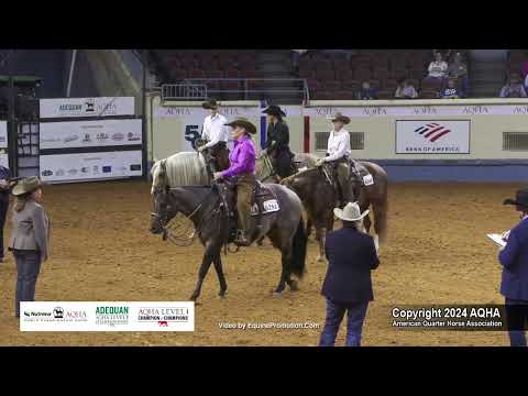 Amateur Working Western Rail - 2024 AQHA World Championship Show