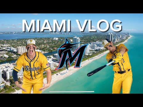 I hit a HOME RUN for the SAVANNAH BANANAS | MLB Stadium VLOG