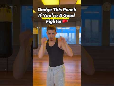 Dodge This Punch