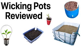 6 Wicking Pots Reviewed