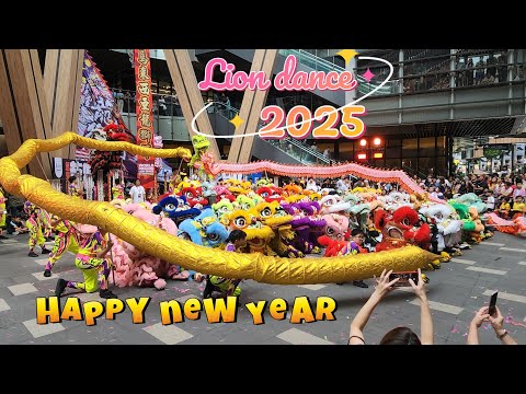 2025 New year lion dance