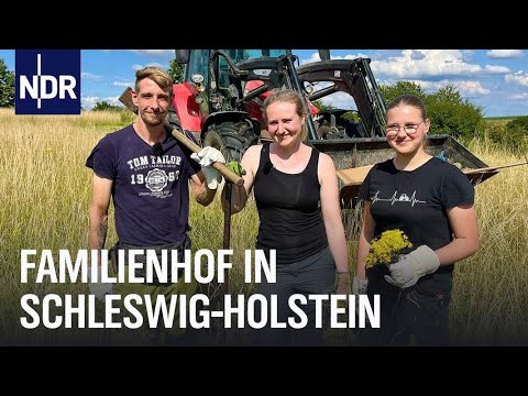 SH: Ein Jahr mit Landwirtin Hendrikje | Die Nordreportage | NDR Doku