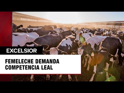 Femeleche demanda competencia leal y autosuficiencia ante panorama con EU