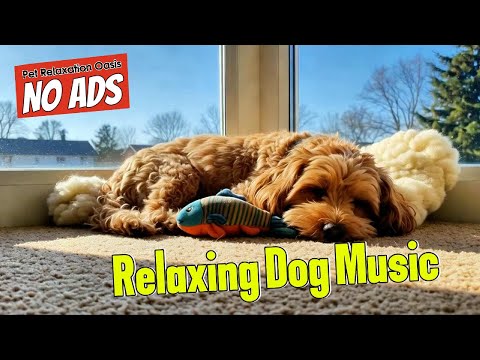 8 HOURS of Dog Anxiety Relief Music - Calm Retreat | Pet Relaxation Oasis