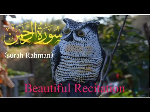 surah rahman  //surah rahman ki tilawat //surah rahman beautiful voice