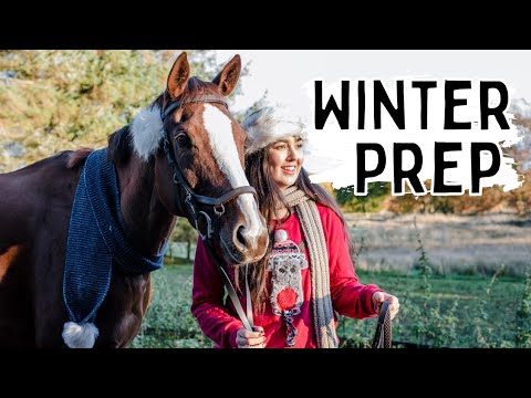 PREPARING FOR THE HORSES WINTER ROUTINE| Organising and tidying!