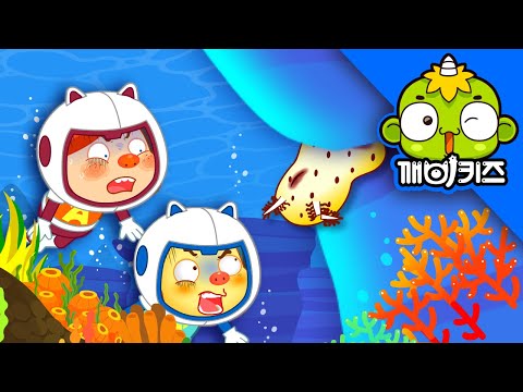 바다토끼를 구해줘 | 알랑이 동물구조대 | 깨비키즈 KEBIKIDS