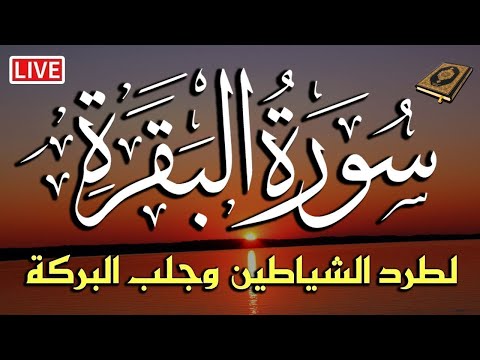 قرآن الصباح رمضان ☀️ قران كريم سورة البقرة لحفظ و تحصين المنزل وجلب البركه والرزق Surat Al-Baqarah