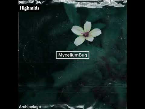 MyceliumBug - Parrot