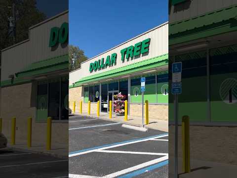 ✨Public ASMR✨New Dollar Tree finds 💵🌳😍 #asmr #dollartree