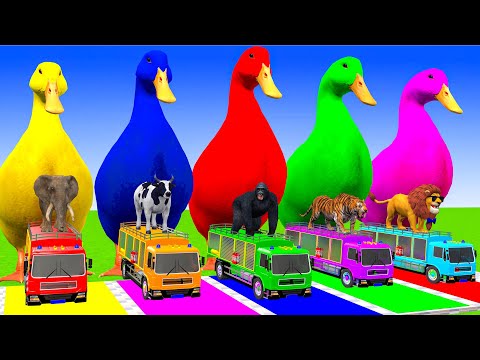 5 Giant Duck Cartoon,Super Mario ,Tiger, Cow,Lion,Paint Wild Animals Crossing Fountain Animation