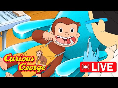 🔴 LIVE Curious George Full Episodes 🐵 George Learns to Brush His Teeth + More!