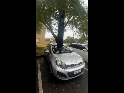 Ex-Cyclone Alfred sends gutter flying, impales car