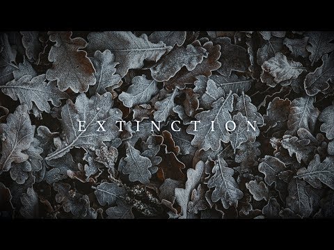 Mustafa Avşaroğlu - Extinction