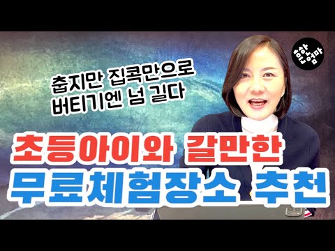 🏃🏻‍♀️긴 겨울방학, 초등아이랑 갈만한 박물관,미술관 추천!